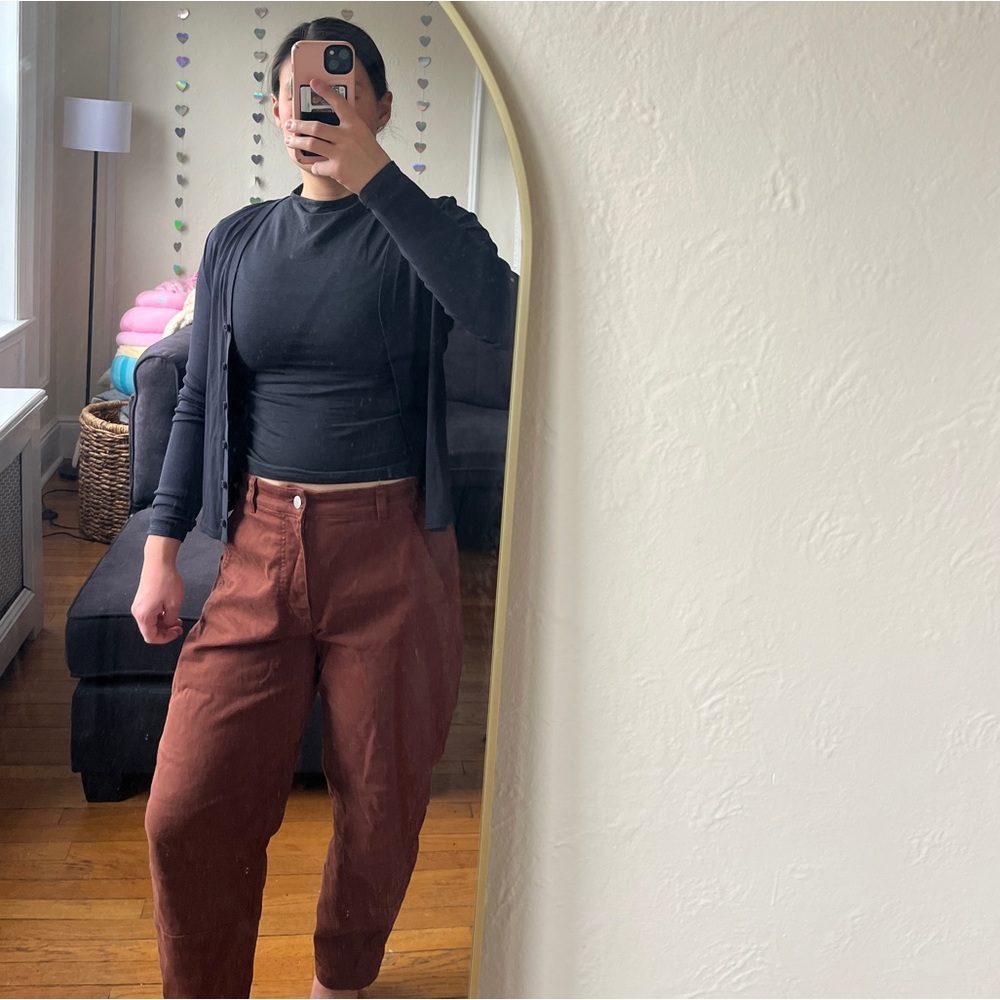 Everlane Barrel Pant